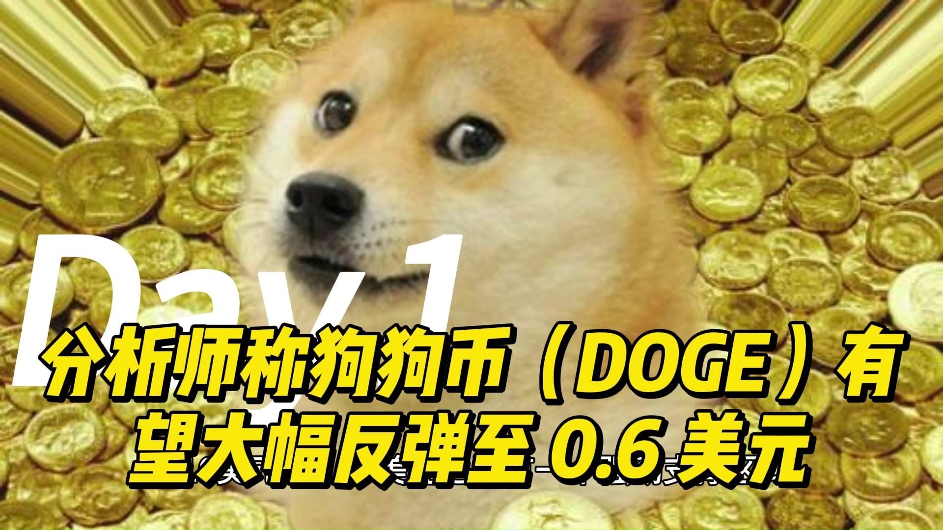 关于狗狗币遭遇大幅下滑超151%，投资者恐慌性抛售，引爆行情的信息